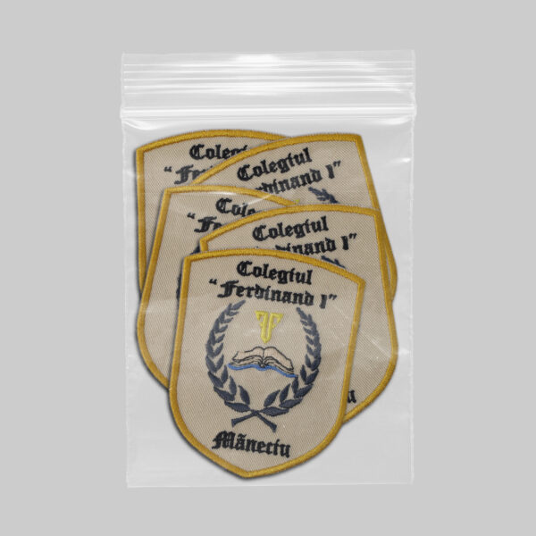 Colegiul Ferdinand I Maneciu