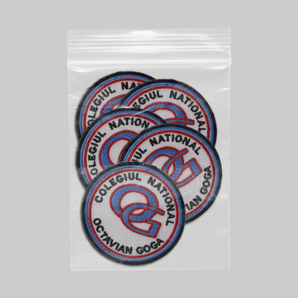 Colegiul National Octavian Goga