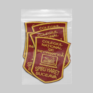 Colegiul National de Informatica Spiru Haret Suceava v1