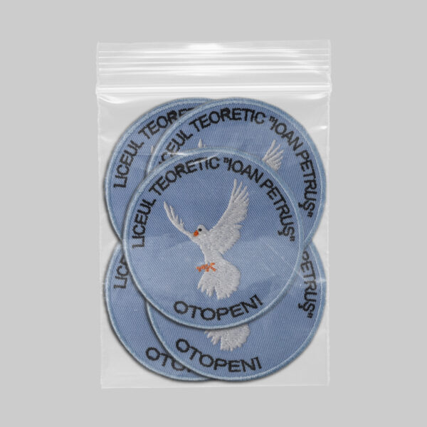 Liceul Teoretic Ioan Petreus Otopeni 1