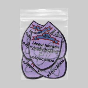 Liceul Teoretic Lascar Rosetti Raducaneni