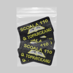 Scoala 110 George Toparceanu