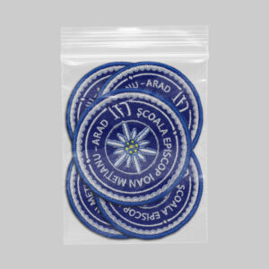 Scoala Episcop Ioan Metianu Arad 1