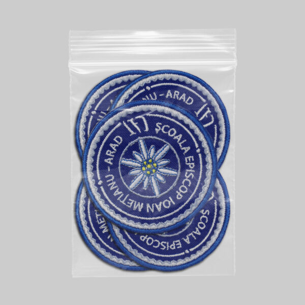 Scoala Episcop Ioan Metianu Arad 1