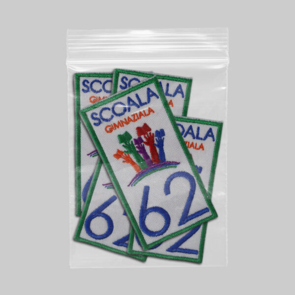 Scoala Gimnaziala 62 v1