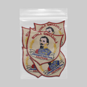 Scoala Gimnaziala Alexandru Ioan Cuza Falticeni v1