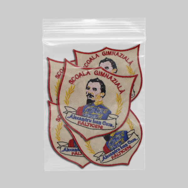 Scoala Gimnaziala Alexandru Ioan Cuza Falticeni v1