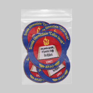 Scoala Gimnaziala Caius Iacob Arad