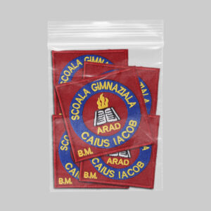 Scoala Gimnaziala Caius Iacob Arad BM