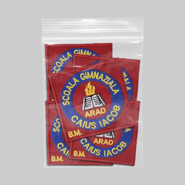 Scoala Gimnaziala Caius Iacob Arad BM