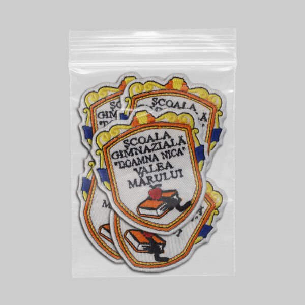 Scoala Gimnaziala Doamna Nica Valea Marului