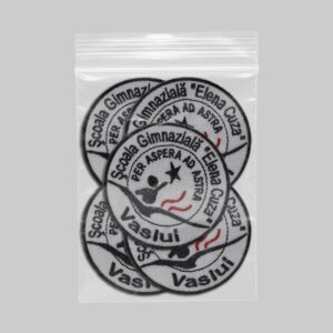 Scoala Gimnaziala Elena Cuza Vaslui v1