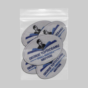 Scoala Gimnaziala George Topirceanu Mioveni v1