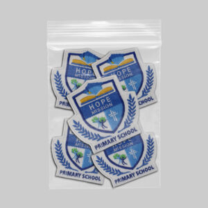 Scoala Gimnaziala Hope Mission