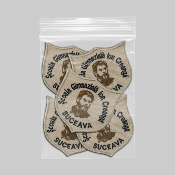 Scoala Gimnaziala Ion Creanga Suceava v1