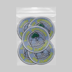 Scoala Gimnaziala Ion Dumitru v1