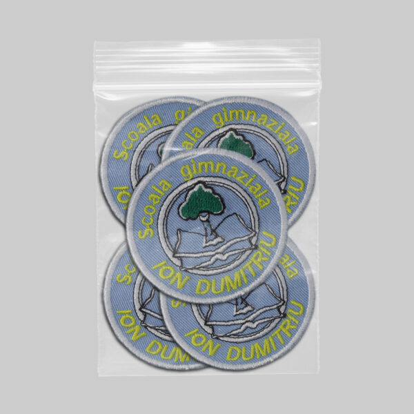 Scoala Gimnaziala Ion Dumitru v1