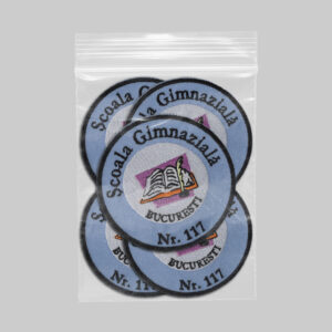 Scoala Gimnaziala Nr 117 Bucuresti v1