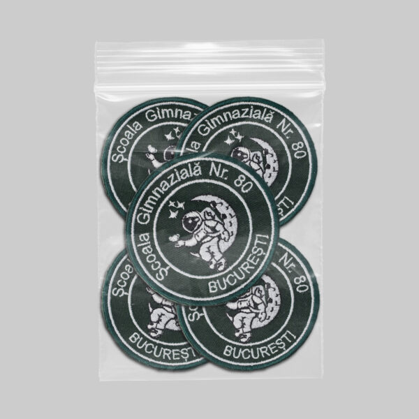 Scoala Gimnaziala Nr 80 Bucuresti v1