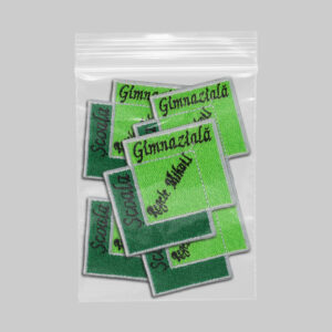 Scoala Gimnaziala Regele Mihail v1