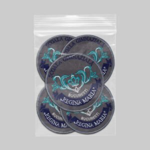 Scoala Gimnaziala Regina Maria Bucuresti v1