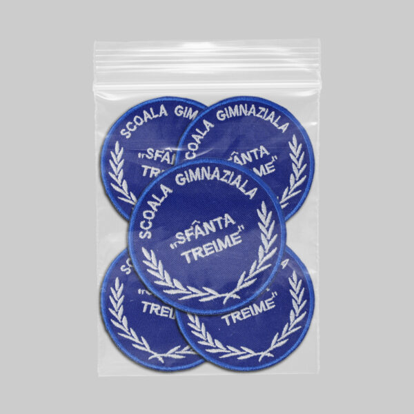 Scoala Gimnaziala Sfanta Treime v1