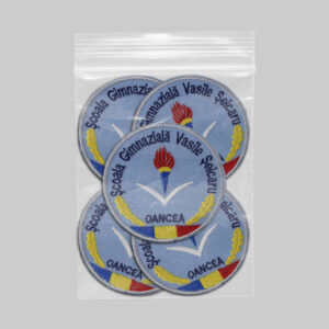 Scoala Gimnaziala Vasile Seicaru Oancea v1