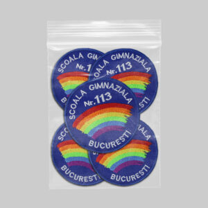 Scoala Gimnaziala nr 113 Bucuresti v1