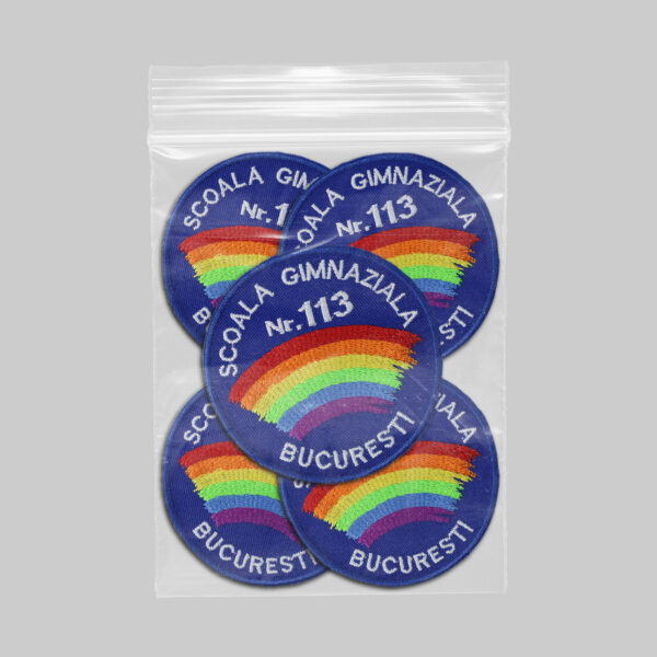 Scoala Gimnaziala nr 113 Bucuresti v1