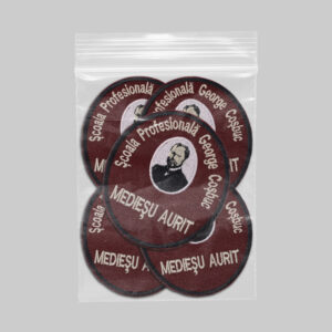 Scoala Profesionala George Cosbuc Mediesu Aurit (2)