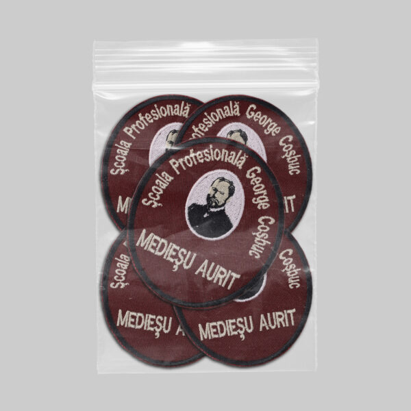 Scoala Profesionala George Cosbuc Mediesu Aurit (2)