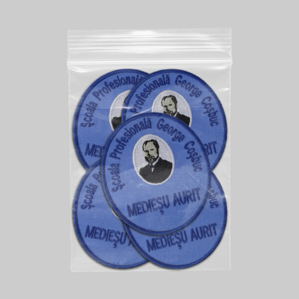 Scoala Profesionala George Cosbuc Mediesu Aurit (3)