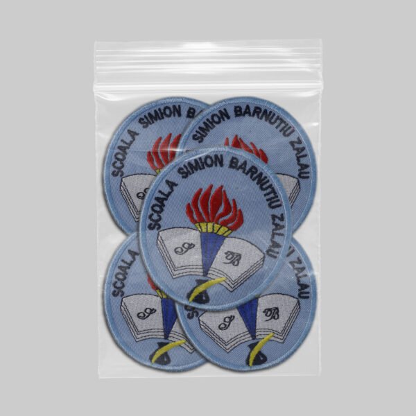 Scoala Simion Barnutiu Zalau